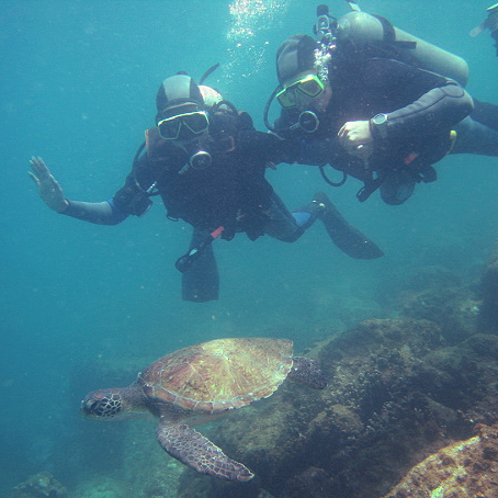 Scuba Diving at Arraial do Cabo